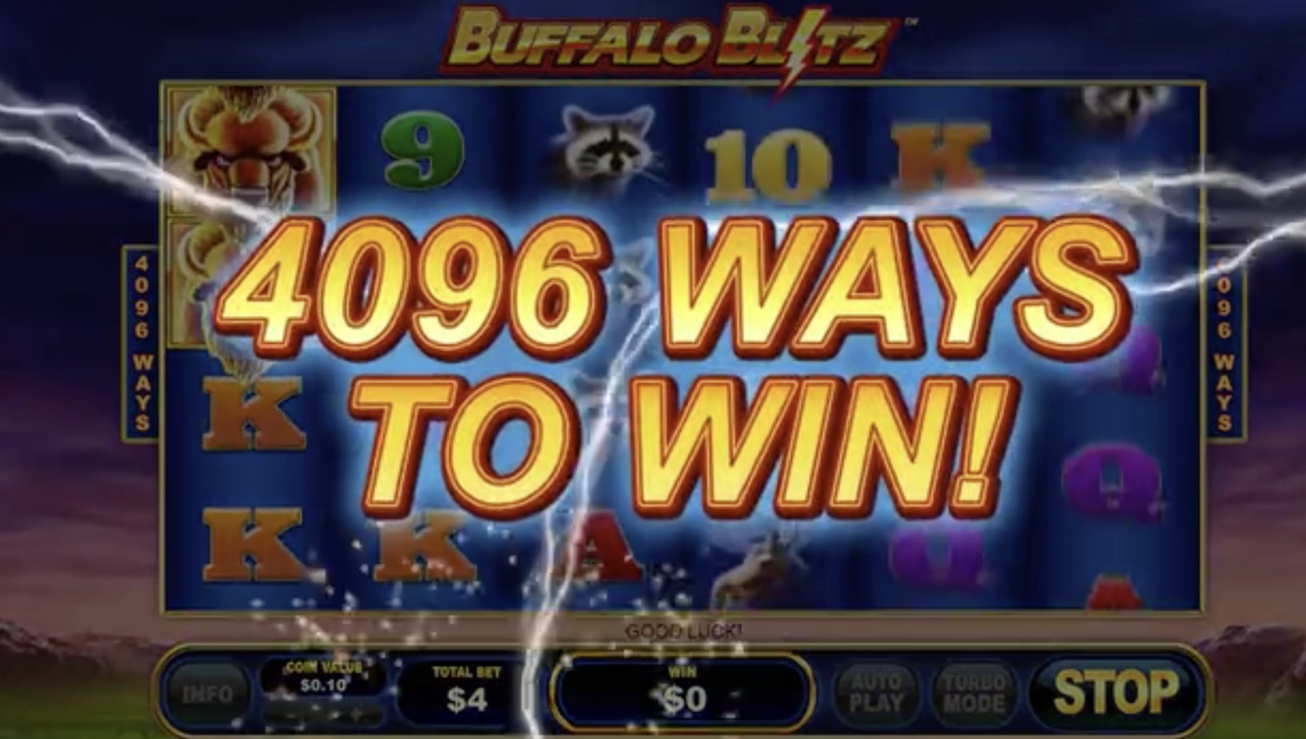 Live Buffalo Blitz Rules and Gameplay