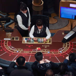 Wat zijn live casinodealers en hoe werken ze?